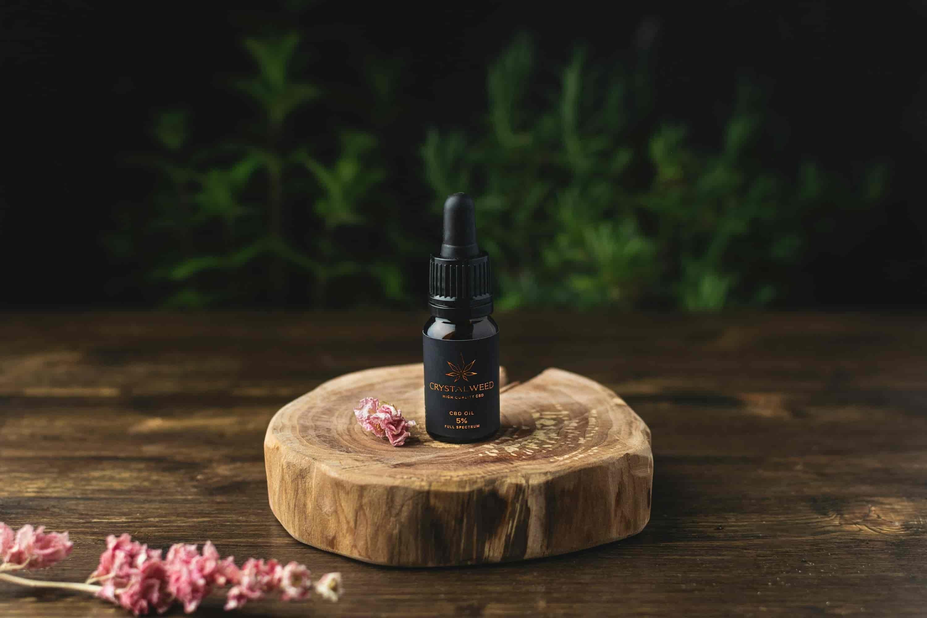 IBVape e-cigarette Spotlight and Top Refillable e cigarette brands for Flavor Performance and Value
