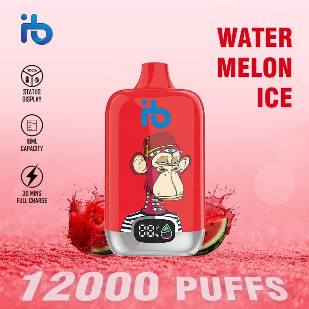 Discover IBVape Shop what does e cigarette look like and how to choose the perfect vape model Discover IBVape Shop what does e cigarette look like and how to choose the perfect vape model